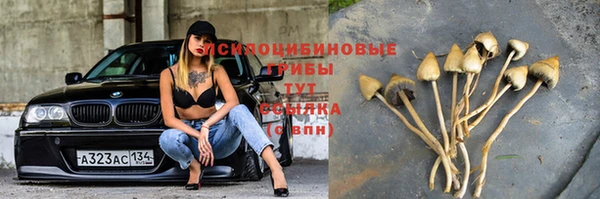 спиды Армянск