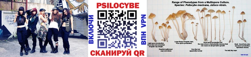 где купить наркотик  блэк спрут онион  Галлюциногенные грибы ЛСД  Зеленоградск 