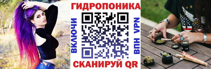 hydra маркетплейс  Зеленоградск  МАРИХУАНА индика  как найти наркотики 